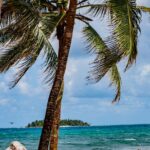 palm tree on sand beach near ocean